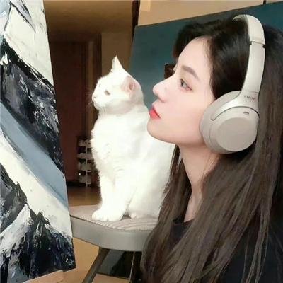 惊沙
